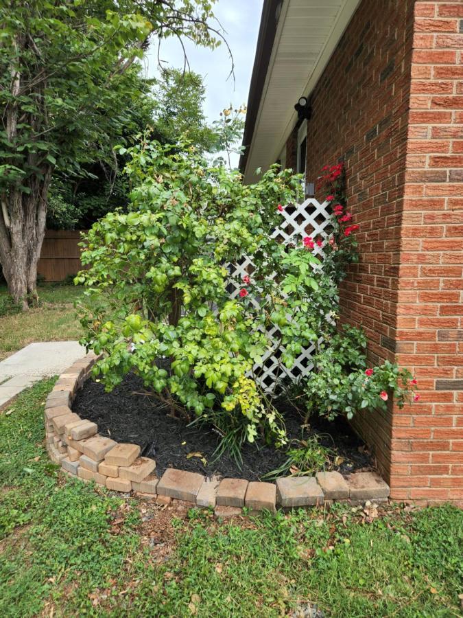 2Br 1Ba Duplex House King Beds Great For Small Groups Close To All Uptown Charlotte Attractions Bagian luar foto